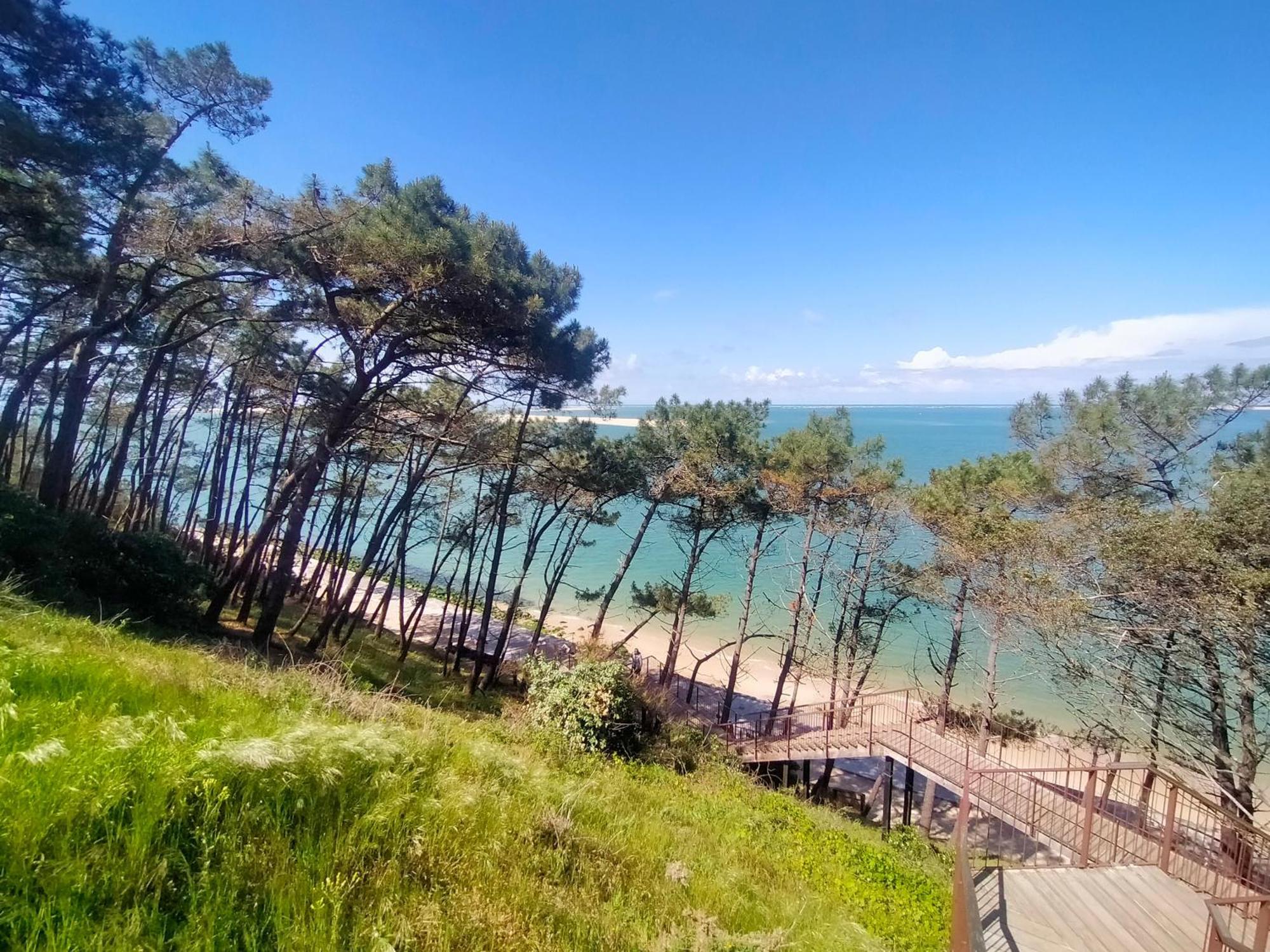 Gite Avec Piscine Et Espace Bien-Etre Partages Entre Bordeaux Et Lacanau Ocean (Adults Only) Brach Екстер'єр фото